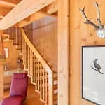 Skiblickhaus *