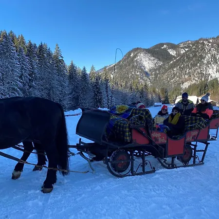Skiblickhaus